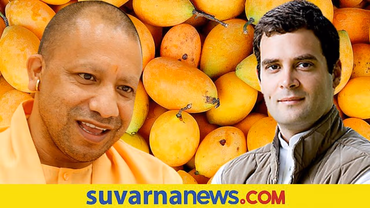 ಉತ್ತರ ಪ್ರದೇಶದ ಮಾವು ಇಷ್ಟ ಇಲ್ಲ ಎಂದ ರಾಹುಲ್: ಯೋಗಿ ಕೊಟ್ಟ ಉತ್ತರ ಇದು