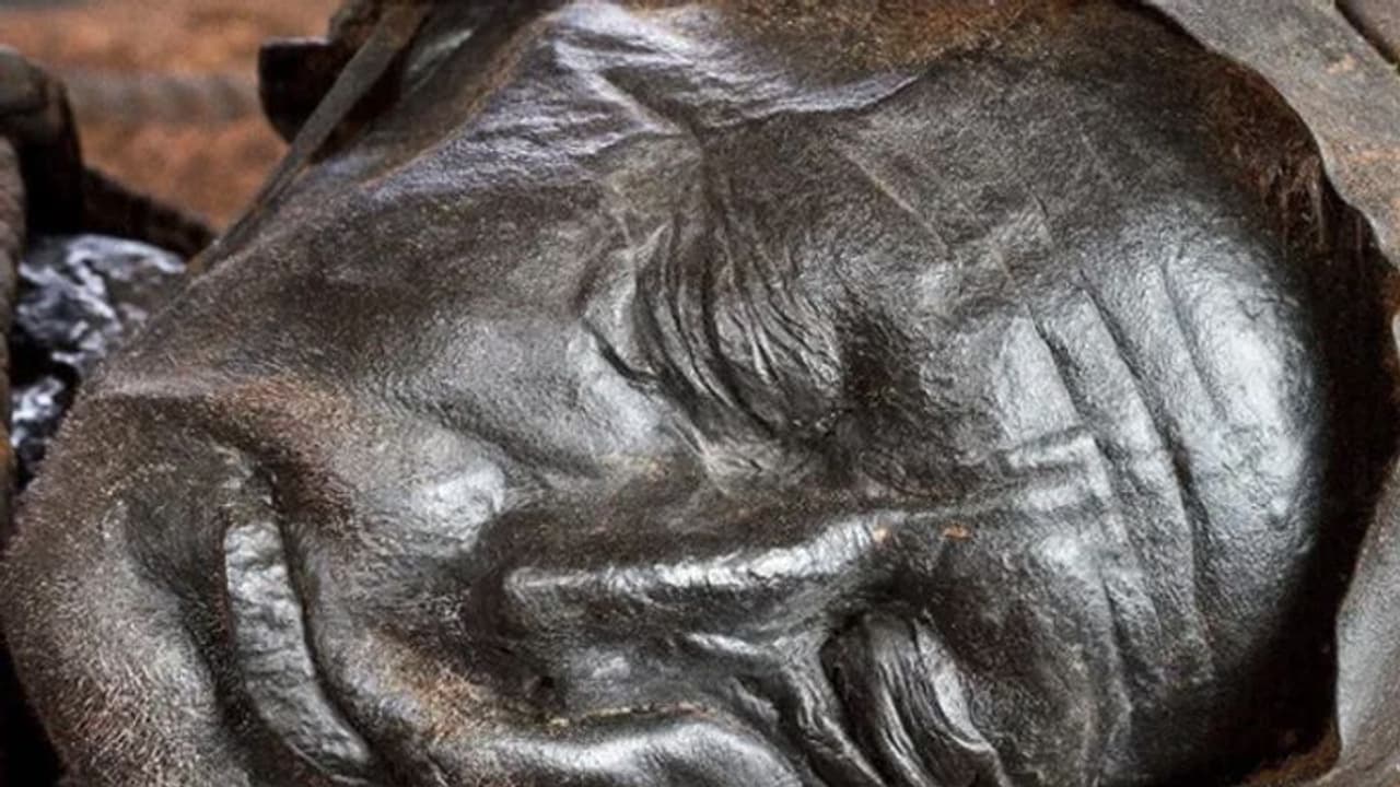 2400 साल पुराने शव के पेट में मिला मौत से पहले खाया हुआ खाना! वैज्ञानिकों ने किया चौंकाने वाला खुलासा 2400 साल पुराने शव के पेट में मिला मौत से पहले खाया हुआ खाना! वैज्ञानिकों ने किया चौंकाने वाला खुलासा