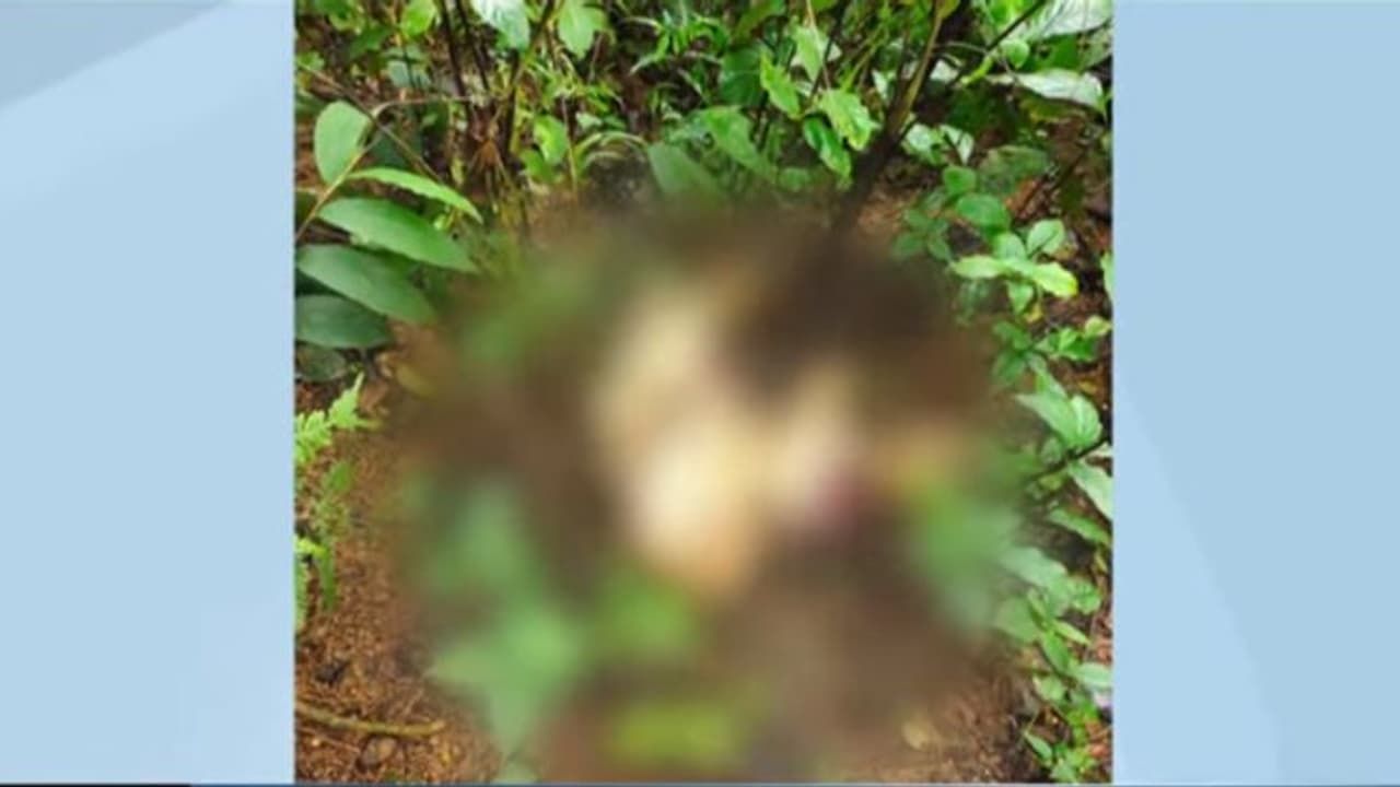 കണ്ണൂർ പൊതുവാച്ചേരിയിൽ ചാക്കിൽ കെട്ടിയ നിലയിൽ മൃതദേഹം കണ്ണൂർ പൊതുവാച്ചേരിയിൽ ചാക്കിൽ കെട്ടിയ നിലയിൽ മൃതദേഹം