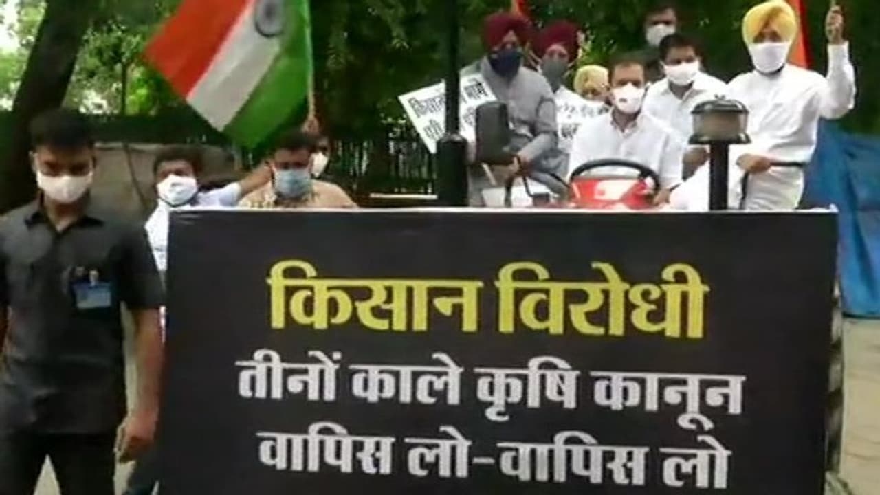 मानसून सत्र: ट्रैक्टर चलाकर संसद पहुंचे राहुल गांधी; हंगामे पर बोले स्पीकर आपको जनता ने चुनकर भेजा है मानसून सत्र: ट्रैक्टर चलाकर संसद पहुंचे राहुल गांधी; हंगामे पर बोले स्पीकर आपको जनता ने चुनकर भेजा है