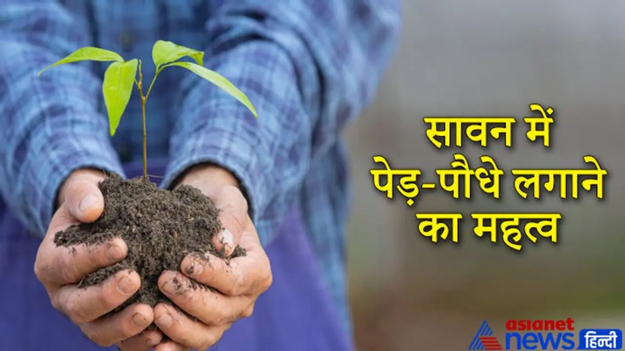 श्रावण मास में पेड़ पौधे लगाने और दान करने से प्रसन्न होते हैं पितृ और देवता