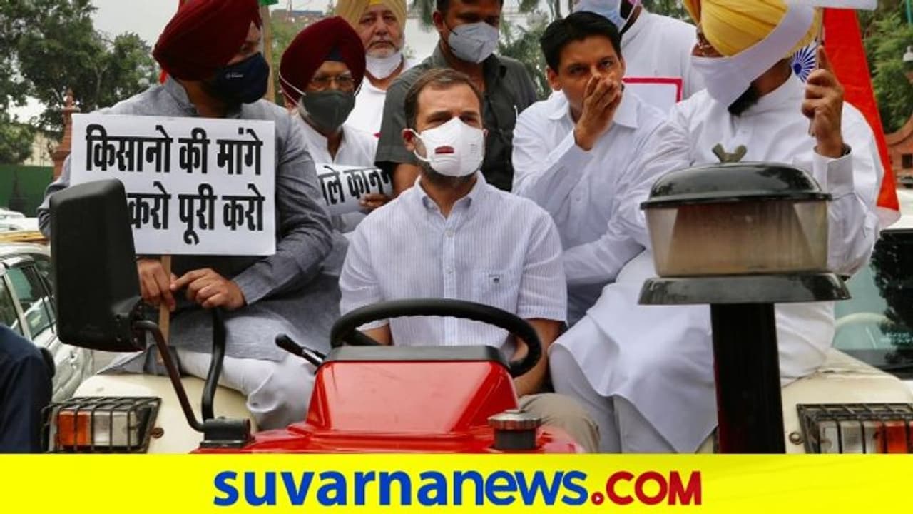 ಟ್ರಾಕ್ಟರ್ ಓಡಿಸಿ ಕೃಷಿ ಕಾಯ್ದೆ ವಿರೋಧಿಸಿದ ರಾಹುಲ್ ಗಾಂಧಿ ಟ್ರಾಕ್ಟರ್ ಓಡಿಸಿ ಕೃಷಿ ಕಾಯ್ದೆ ವಿರೋಧಿಸಿದ ರಾಹುಲ್ ಗಾಂಧಿ