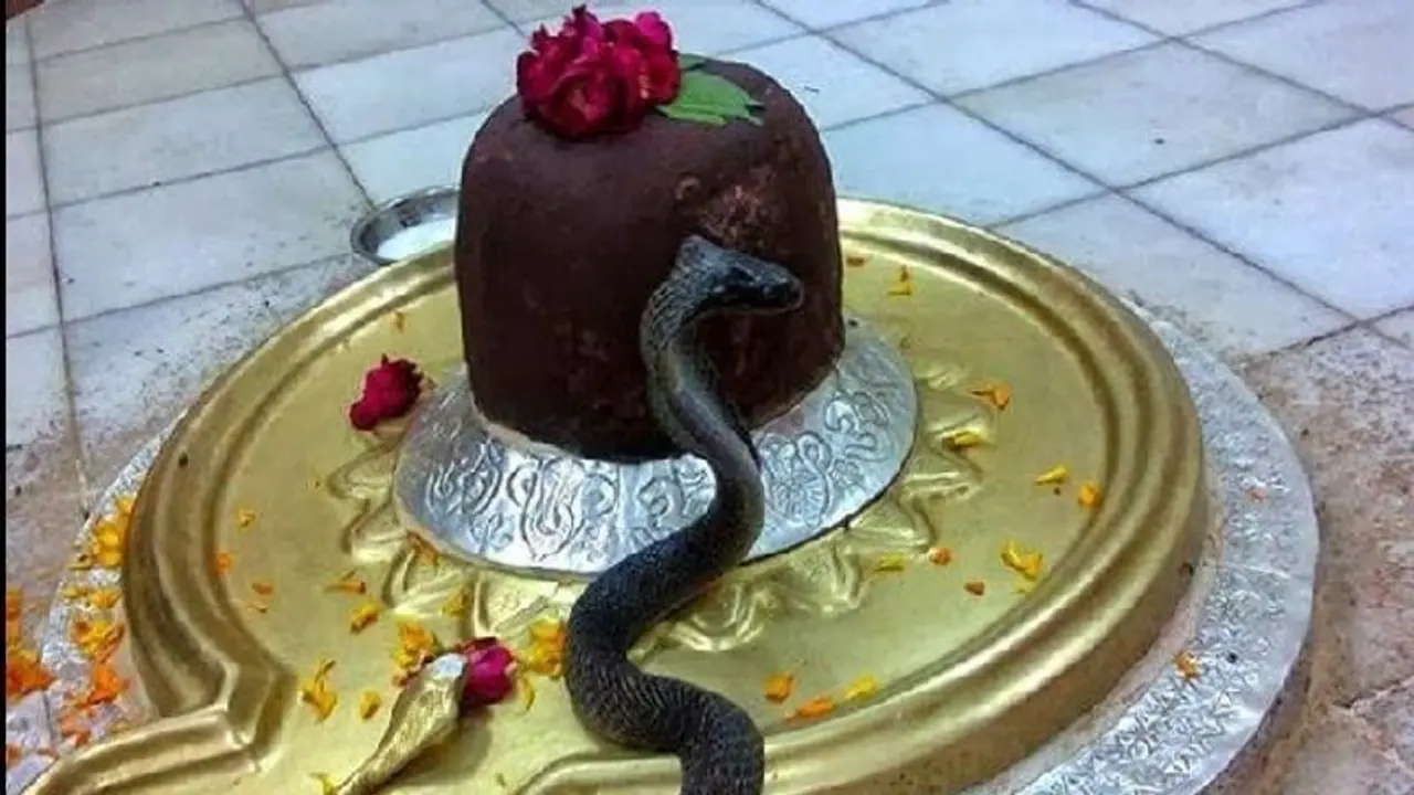 सावन के पहले सोमवार को शिवलिंग पर आकर लिपट गया नाग, दर्शन को उमड़ी भीड..'फिर हुआ भोलनाथ का चमत्कर' सावन के पहले सोमवार को शिवलिंग पर आकर लिपट गया नाग, दर्शन को उमड़ी भीड..'फिर हुआ भोलनाथ का चमत्कर'