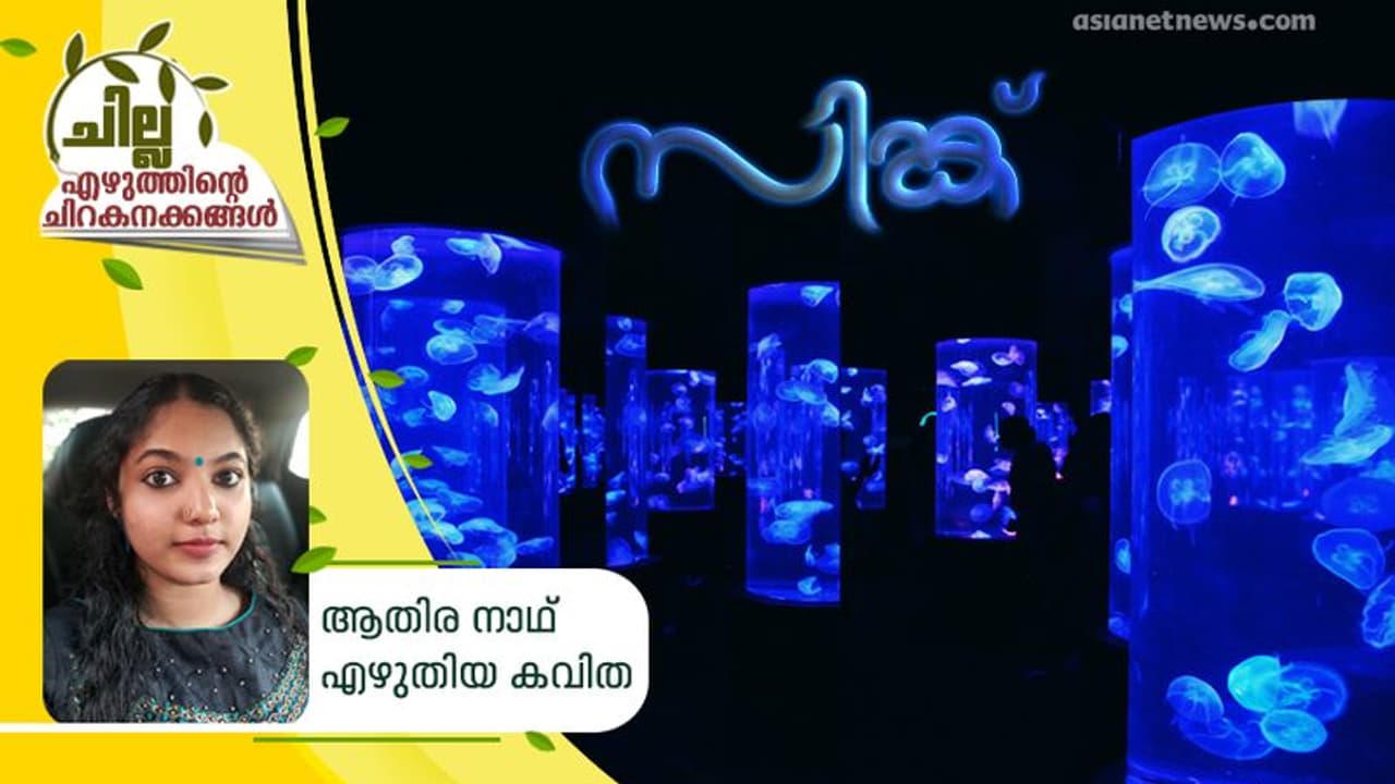 സിങ്ക് , ആതിര നാഥ് എഴുതിയ കവിത സിങ്ക് , ആതിര നാഥ് എഴുതിയ കവിത