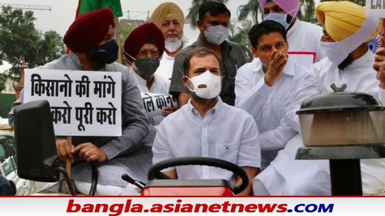 মুখে স্লোগান হাতে ট্র্যাক্টরের স্টিয়ারিং, রাহুল গান্ধীর সংসদ যাত্রার ভিডিওটি দেখুন মুখে স্লোগান হাতে ট্র্যাক্টরের স্টিয়ারিং, রাহুল গান্ধীর সংসদ যাত্রার ভিডিওটি দেখুন