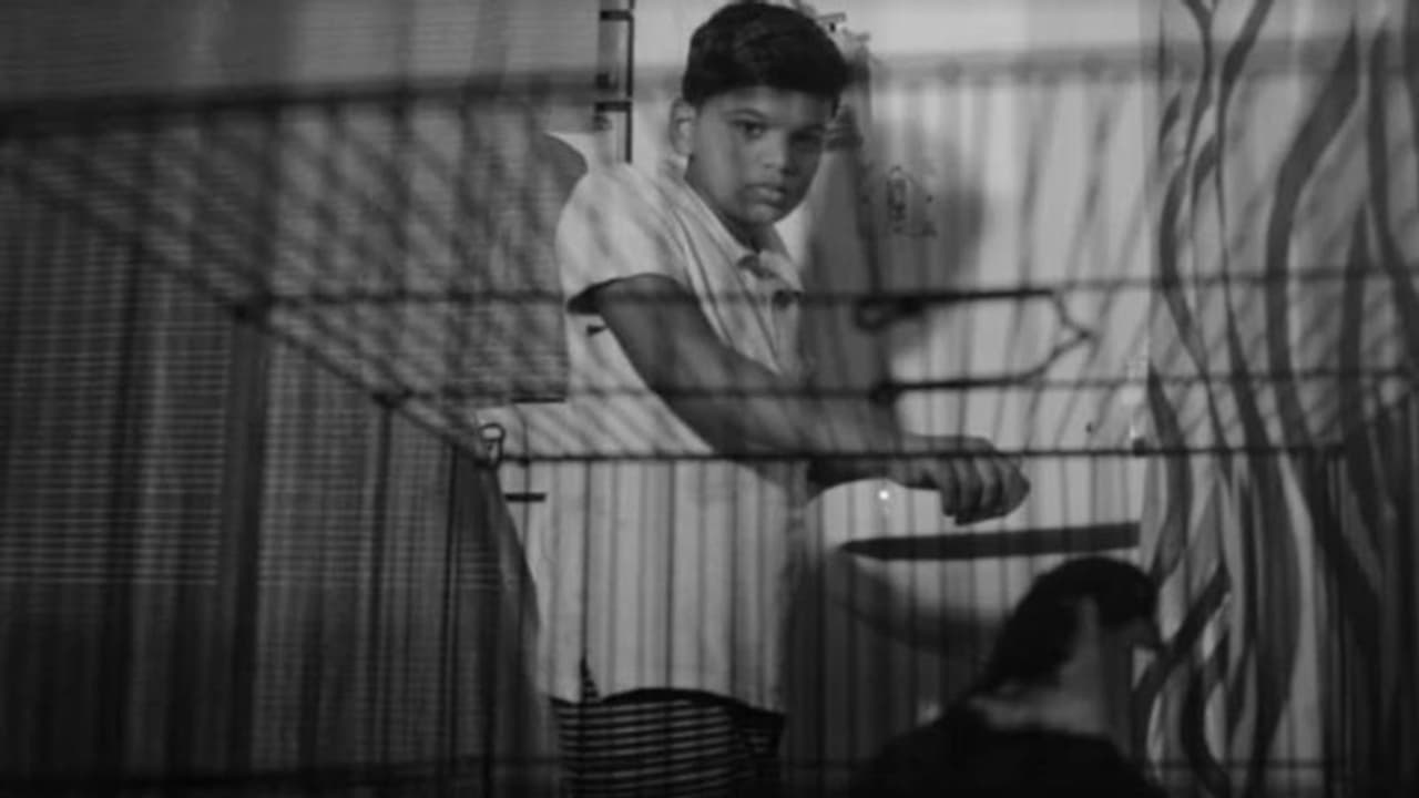 ലോക്ക് ഡൗണിലെ കുട്ടിയും, കൂട്ടിലെ പക്ഷിയും, ഹ്രസ്വചിത്രം ചര്ച്ചയാകുന്നു ലോക്ക് ഡൗണിലെ കുട്ടിയും, കൂട്ടിലെ പക്ഷിയും, ഹ്രസ്വചിത്രം ചര്ച്ചയാകുന്നു