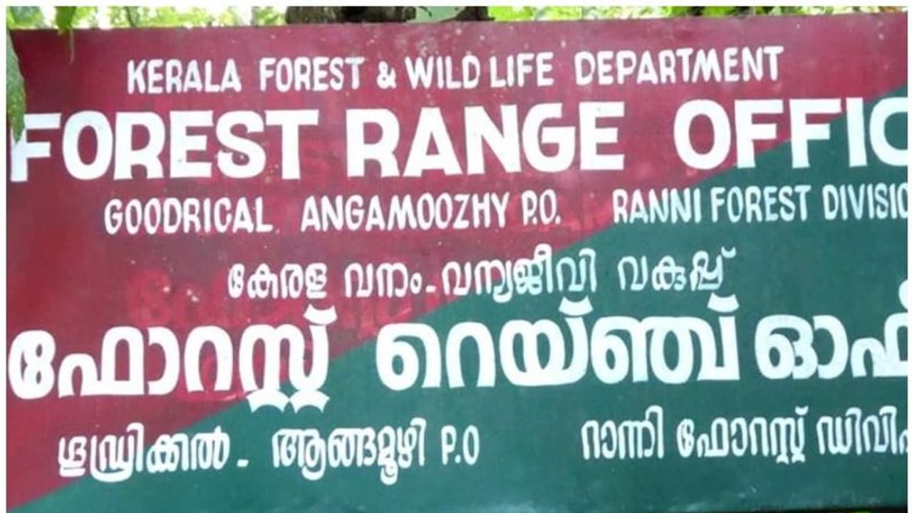 വനഭൂമിയിൽ മരം മുറിക്കുന്നതിനും പാറ ഖനനത്തിനും അനുമതി; റാന്നി മുൻ ഡിഎഫ്ഒയെ സസ്പെൻഡ് ചെയ്തു വനഭൂമിയിൽ മരം മുറിക്കുന്നതിനും പാറ ഖനനത്തിനും അനുമതി; റാന്നി മുൻ ഡിഎഫ്ഒയെ സസ്പെൻഡ് ചെയ്തു
