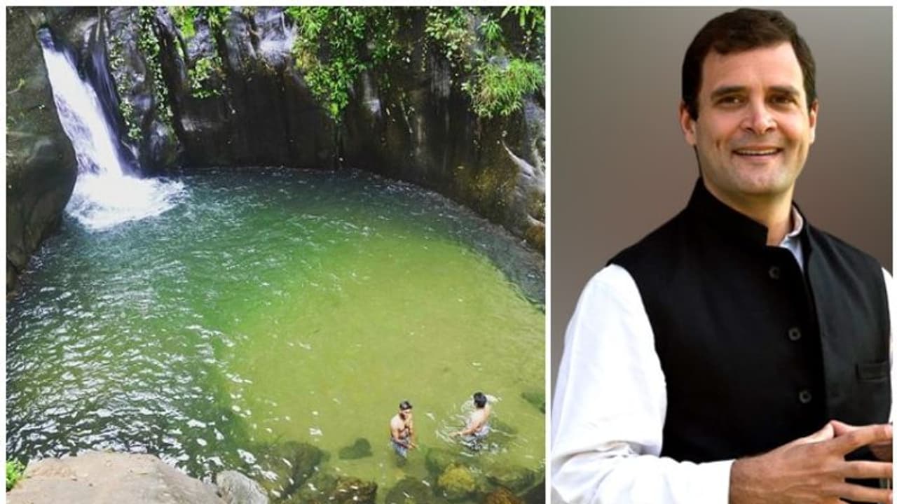 ലോക പ്രകൃതി സംരക്ഷണ ദിനത്തില് കരുവാരകുണ്ടിലെ സുന്ദര ദൃശ്യങ്ങള് പങ്കുവെച്ച് രാഹുല്ഗാന്ധി ലോക പ്രകൃതി സംരക്ഷണ ദിനത്തില് കരുവാരകുണ്ടിലെ സുന്ദര ദൃശ്യങ്ങള് പങ്കുവെച്ച് രാഹുല്ഗാന്ധി