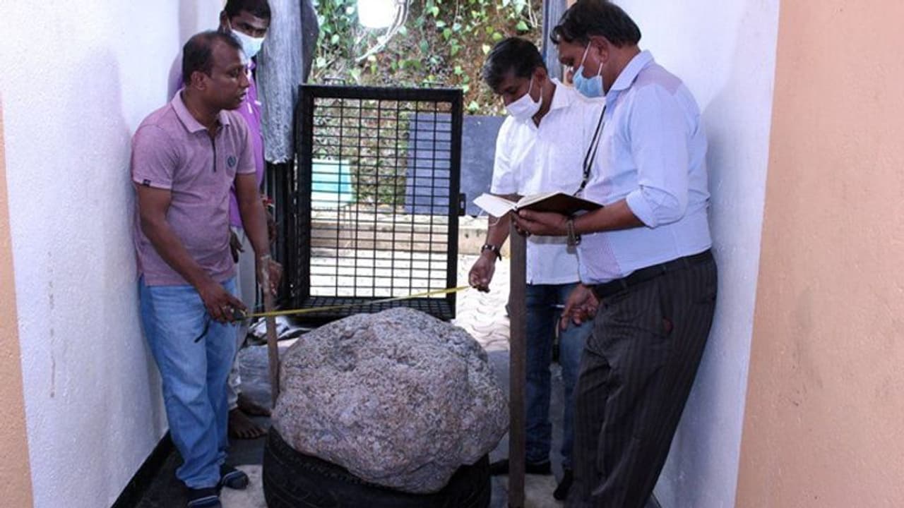 घर के पीछे पड़ा मिला दुनिया का सबसे बड़ा नीलम, 510 किलो वजह वाले इस पत्थर की कीमत जान चौंक जाएंगे घर के पीछे पड़ा मिला दुनिया का सबसे बड़ा नीलम, 510 किलो वजह वाले इस पत्थर की कीमत जान चौंक जाएंगे