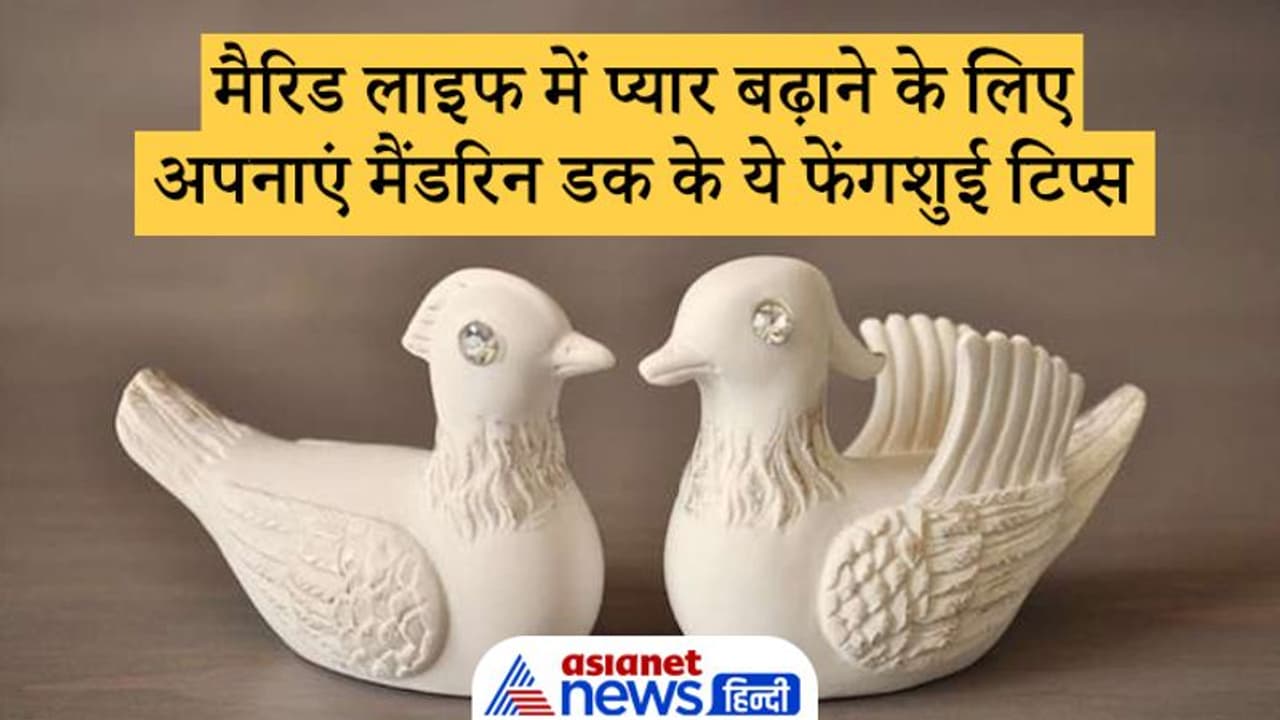 बेडरूम में रखें मैंडरिन डक का जोड़ा, इससे पति पत्नी में बढ़ता है प्रेम और खत्म हो सकते हैं विवाद