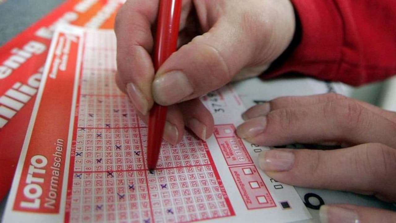 'പത്ത് രൂപയ്ക്ക് സമാന്തര ലോട്ടറി'; ചെർപ്പുളശ്ശേരിയിൽ അഞ്ചംഗ ലോട്ടറി ചൂതാട്ട സംഘം അറസ്റ്റിൽ 'പത്ത് രൂപയ്ക്ക് സമാന്തര ലോട്ടറി'; ചെർപ്പുളശ്ശേരിയിൽ അഞ്ചംഗ ലോട്ടറി ചൂതാട്ട സംഘം അറസ്റ്റിൽ