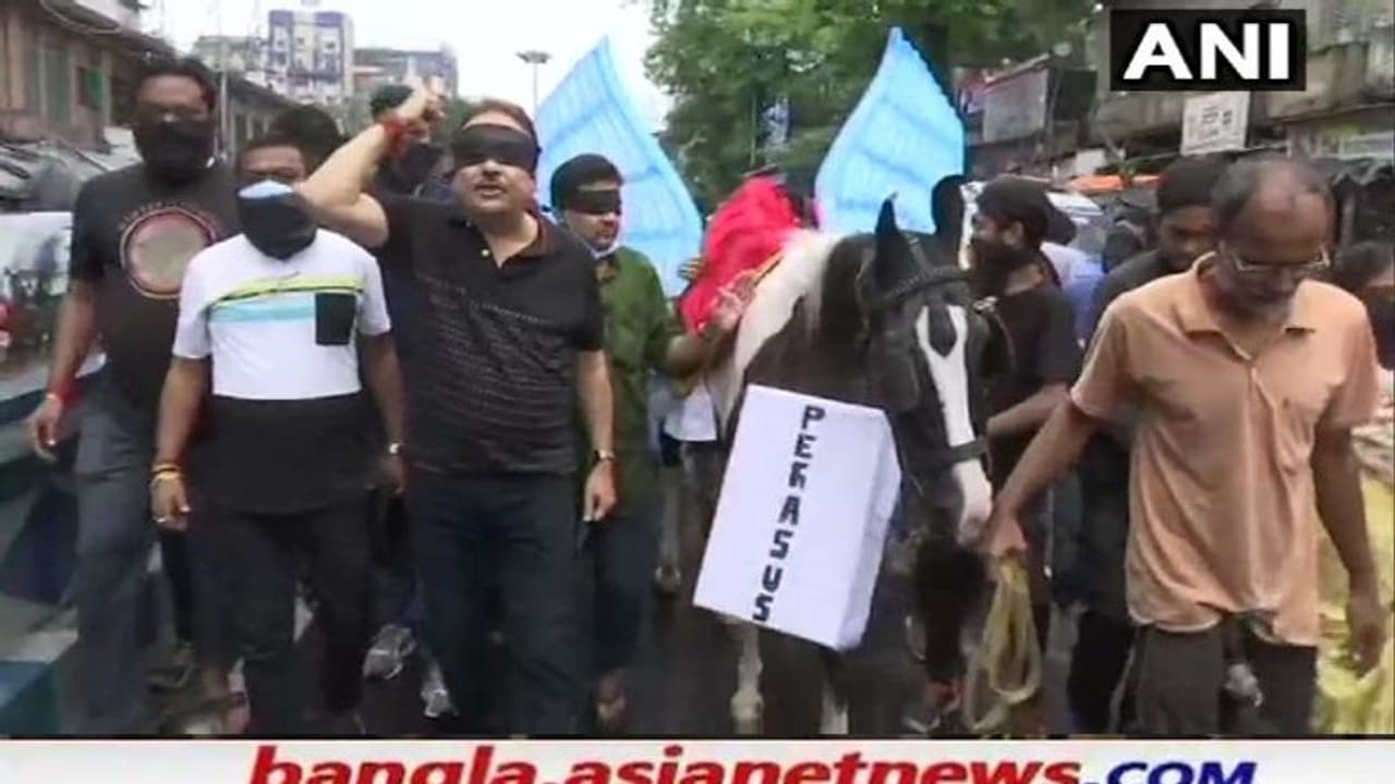 'পেগাসাসের বিষ ছড়াচ্ছে BJP', কালো কাপড় বেঁধে কালো ঘোড়ায় রাজপথে প্রতিবাদ মদনের 'পেগাসাসের বিষ ছড়াচ্ছে BJP', কালো কাপড় বেঁধে কালো ঘোড়ায় রাজপথে প্রতিবাদ মদনের
