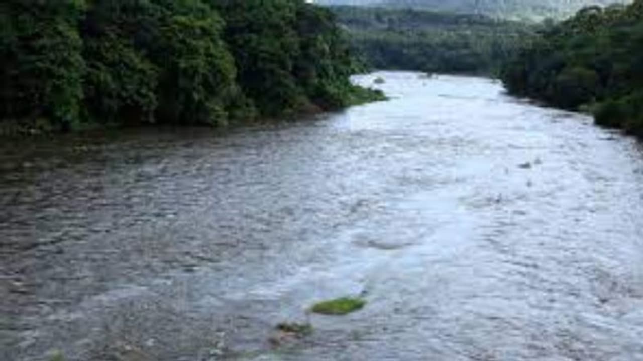 Kerala rains| അണക്കെട്ടുകൾ തുറന്നിട്ടും നദികളിൽ കാര്യമായി ജലനിരപ്പുയർന്നില്ല; പത്തനംത്തിട്ടയിൽ ആശ്വാസം