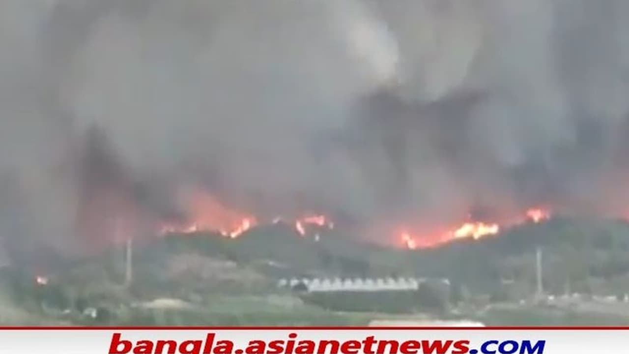 ২ দিনের দাবানলের গ্রাসে উজাড় তুরস্কের গ্রাম থেকে শহর, দেখুন সেই ভয়ঙ্কর ভিডিওটি ২ দিনের দাবানলের গ্রাসে উজাড় তুরস্কের গ্রাম থেকে শহর, দেখুন সেই ভয়ঙ্কর ভিডিওটি