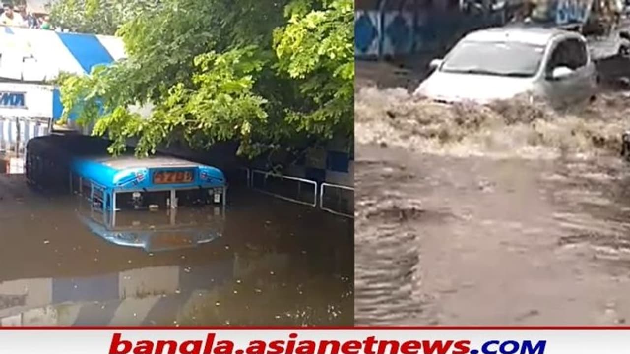 রাত পেরোলেই পুরভোট, খারাপ রাস্তা বন্যা থেকে মুক্তি চাইছে বিধাননগর রাত পেরোলেই পুরভোট, খারাপ রাস্তা বন্যা থেকে মুক্তি চাইছে বিধাননগর