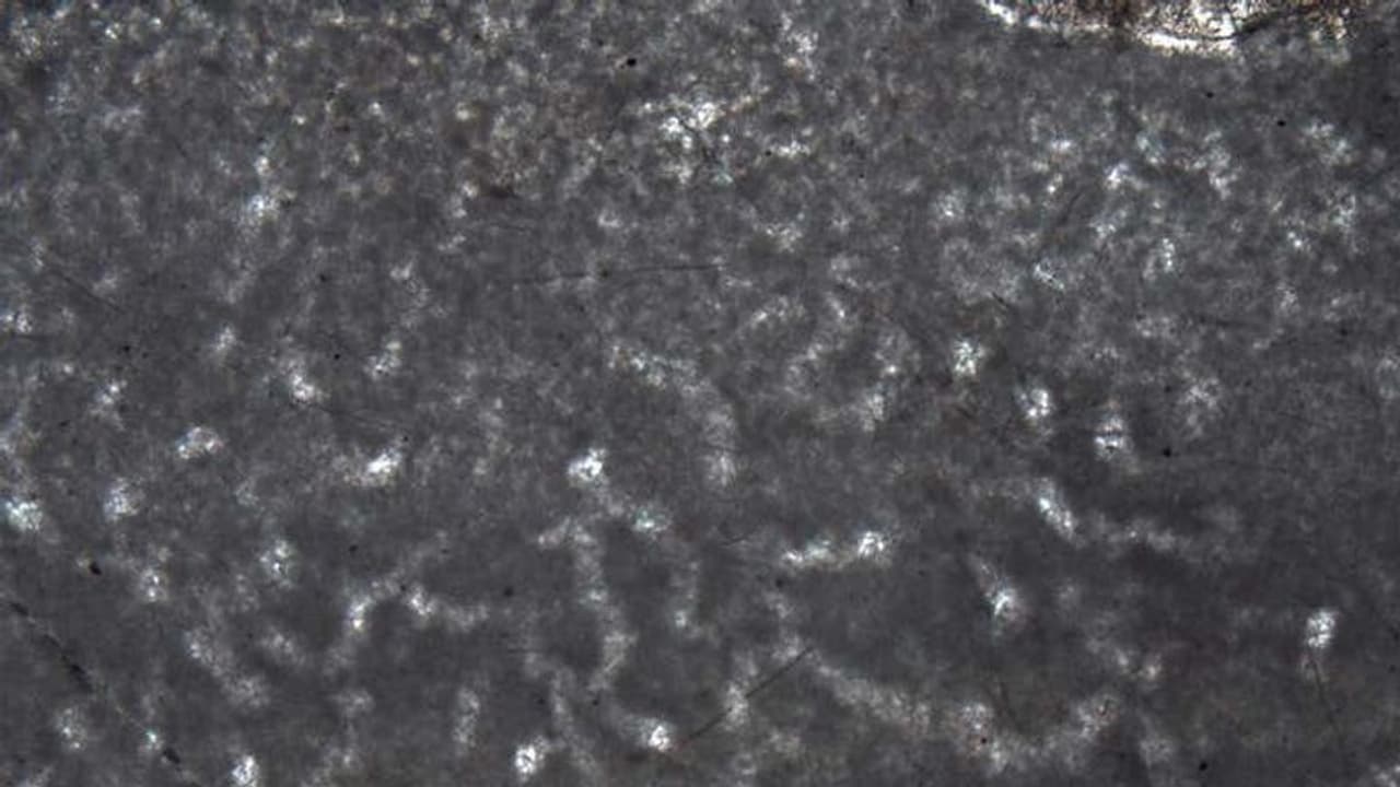 ഭൂമുഖത്ത് നിലവില് വിചാരിക്കുന്നതിനേക്കാള് 350 ദശലക്ഷം വര്ഷങ്ങള്ക്ക് മുമ്പേ മൃഗങ്ങളുണ്ടായിരുന്നു.! ഭൂമുഖത്ത് നിലവില് വിചാരിക്കുന്നതിനേക്കാള് 350 ദശലക്ഷം വര്ഷങ്ങള്ക്ക് മുമ്പേ മൃഗങ്ങളുണ്ടായിരുന്നു.!