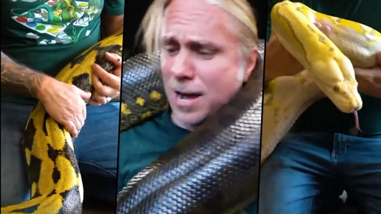 Man feeds and plays with giant reptiles like his 'children'; watch viral video Man feeds and plays with giant reptiles like his 'children'; watch viral video