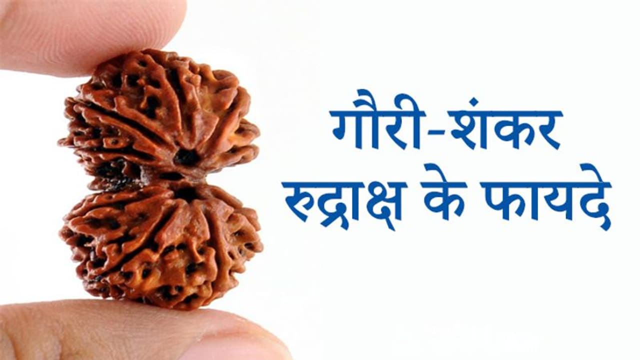 Sawan में धारण करें ये खास रुद्राक्ष, दूर हो सकती हैं वैवाहिक जीवन की समस्याएं व अन्य परेशानियां