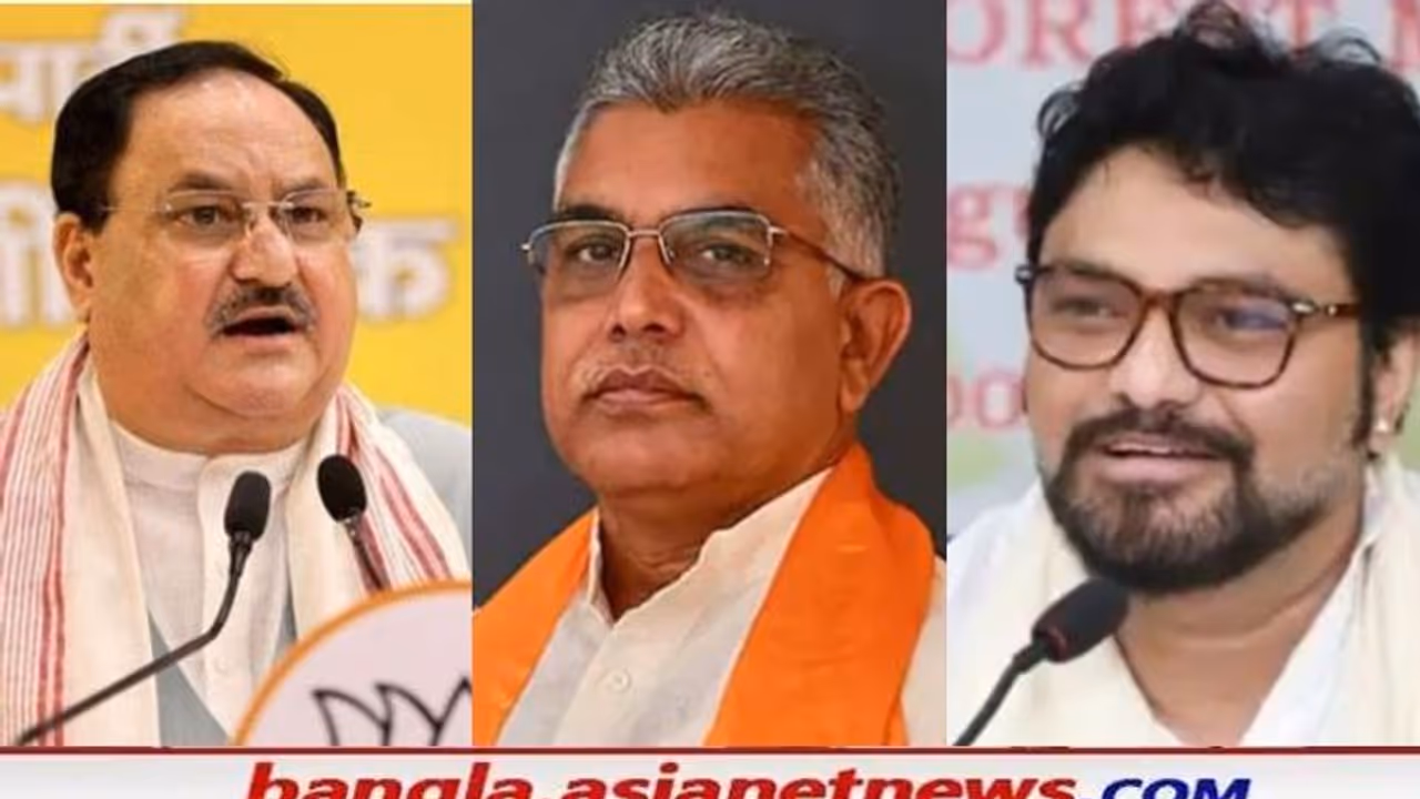 'Alvida' র রহস্য বাড়িয়ে দিলীপকে আক্রমণ, নাড্ডার অনুরোধে ফিরছেন কি বাবুল