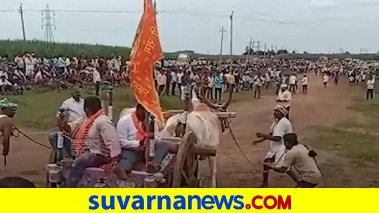 ಎತ್ತಿನಬಂಡಿ ಓಟದ ಸ್ಪರ್ಧೆಗೆ ಹೈಕೋರ್ಟ್ ಷರತ್ತಿನ ಅಸ್ತು ಎತ್ತಿನಬಂಡಿ ಓಟದ ಸ್ಪರ್ಧೆಗೆ ಹೈಕೋರ್ಟ್ ಷರತ್ತಿನ ಅಸ್ತು