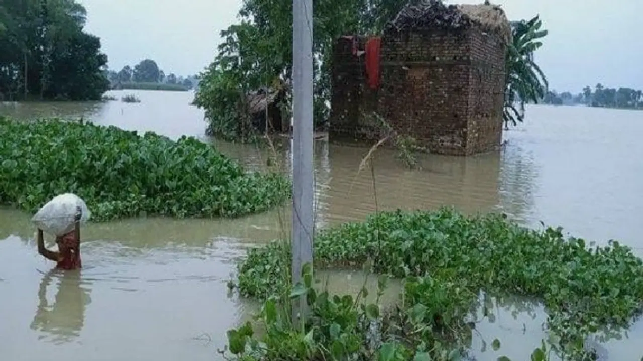হু হু করে জল ফুলছে ময়ূরাক্ষী কূয়ে নদীতে, গ্রামের পর গ্রাম ফাঁকা করে পালাচ্ছেন বাসিন্দারা হু হু করে জল ফুলছে ময়ূরাক্ষী কূয়ে নদীতে, গ্রামের পর গ্রাম ফাঁকা করে পালাচ্ছেন বাসিন্দারা