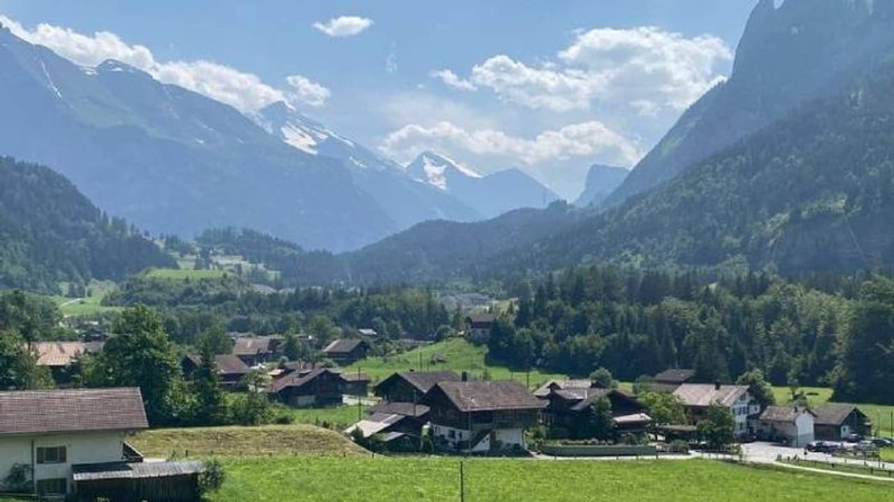 മണ്ണിനടിയിൽ എപ്പോൾ വേണമെങ്കിലും പൊട്ടാവുന്ന ബോംബുകളും ഷെല്ലുകളും, ഭയന്ന് ജനങ്ങള്... മണ്ണിനടിയിൽ എപ്പോൾ വേണമെങ്കിലും പൊട്ടാവുന്ന ബോംബുകളും ഷെല്ലുകളും, ഭയന്ന് ജനങ്ങള്...