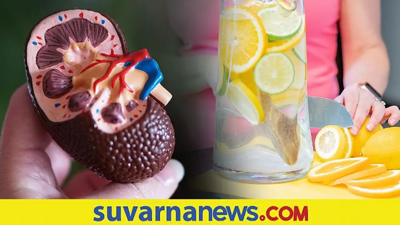 Kidney Stone: ಚೆನ್ನಾಗಿ ಜ್ಯೂಸ್ ಕುಡಿಯಿರಿ, ನೋವಿನಿಂದ ಮುಕ್ತರಾಗಿ Kidney Stone: ಚೆನ್ನಾಗಿ ಜ್ಯೂಸ್ ಕುಡಿಯಿರಿ, ನೋವಿನಿಂದ ಮುಕ್ತರಾಗಿ
