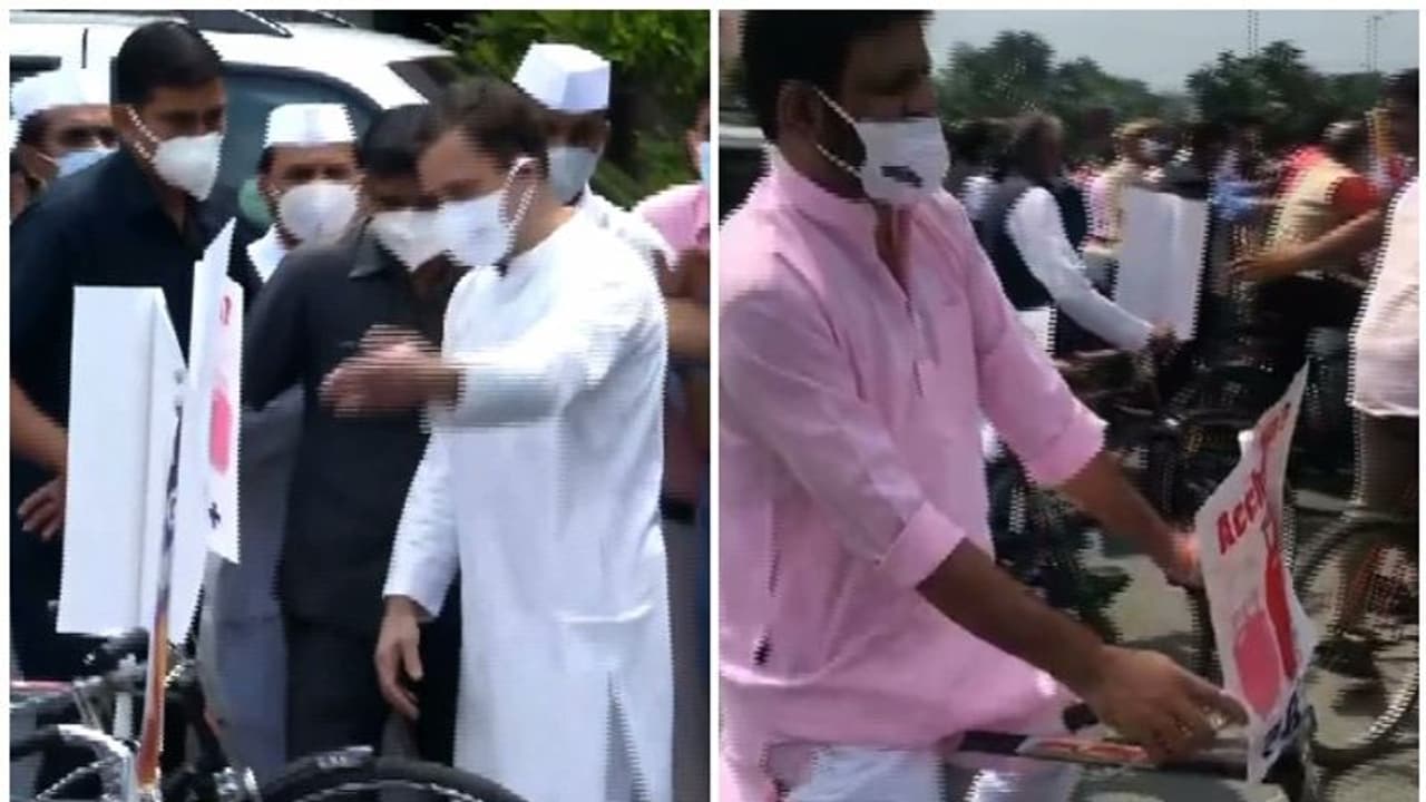 పెట్రోల్ ధరల పెంపును నిరసిస్తూ సైకిల్పై: రాహుల్ సహా పార్లమెంట్కి బైసైకిల్పై విపక్షాలు పెట్రోల్ ధరల పెంపును నిరసిస్తూ సైకిల్పై: రాహుల్ సహా పార్లమెంట్కి బైసైకిల్పై విపక్షాలు