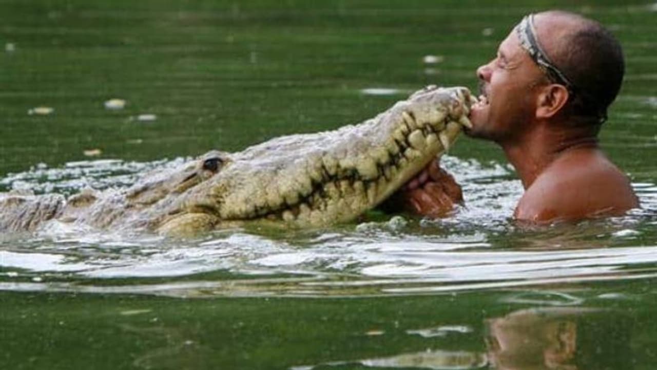 ഒരു മുതലയും മനുഷ്യനും ഇത്രകണ്ട് സുഹൃത്തുക്കളാവുമോ? ജീവൻ തിരികെ നൽകിയ മനുഷ്യന് മുതല നൽകിയ സ്നേഹം