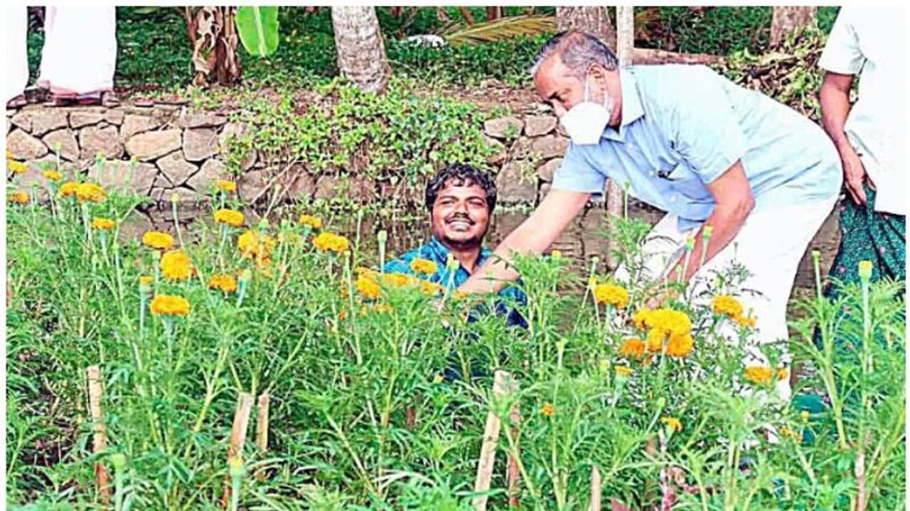 വേമ്പനാട്ടുകായലിലെ ഒഴുകുന്ന പൂന്തോട്ടത്തിൽ ബന്ദിപ്പൂക്കൾ വിരിഞ്ഞു വേമ്പനാട്ടുകായലിലെ ഒഴുകുന്ന പൂന്തോട്ടത്തിൽ ബന്ദിപ്പൂക്കൾ വിരിഞ്ഞു