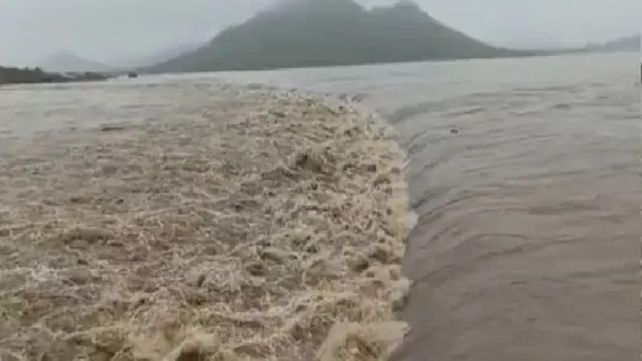 মুখ্যমন্ত্রী মমতার 'ম্যান মেড বন্যা'র অভিযোগ খারিজ, বাংলার বন্যা পরিস্থিতি নিয়ে কী বলল DVC মুখ্যমন্ত্রী মমতার 'ম্যান মেড বন্যা'র অভিযোগ খারিজ, বাংলার বন্যা পরিস্থিতি নিয়ে কী বলল DVC