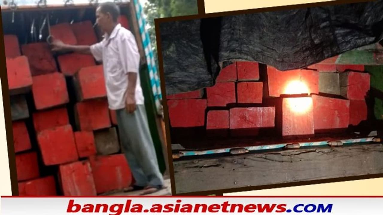 অতিরিক্ত টাকার লোভ, চোরাই কাঠ পাচার করতে গিয়ে ধৃত ২ কেন্দ্রীয় সরকারি কর্মচারী