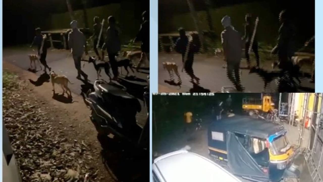നായ്ക്കളുമായി സഞ്ചരിക്കുന്ന ആയുധധാരികള്; മോഷ്ടാക്കള്ക്ക് പിന്നാലെ പാലക്കാട് വീണ്ടും ഭീതിപരത്തി സംഘം നായ്ക്കളുമായി സഞ്ചരിക്കുന്ന ആയുധധാരികള്; മോഷ്ടാക്കള്ക്ക് പിന്നാലെ പാലക്കാട് വീണ്ടും ഭീതിപരത്തി സംഘം