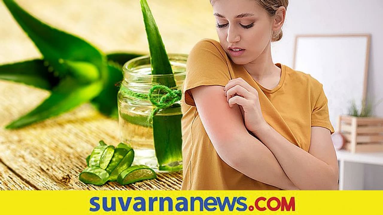 ಹಾಸಿಗೆಗೆ ಹೋಗ್ತಿದ್ದಂತೆ ಮೈ ತುರಿಸುತ್ತಾ? ಟೆನ್ಷನ್ ಬೇಡ ಮನೆ ಮದ್ದಿದೆ ಹಾಸಿಗೆಗೆ ಹೋಗ್ತಿದ್ದಂತೆ ಮೈ ತುರಿಸುತ್ತಾ? ಟೆನ್ಷನ್ ಬೇಡ ಮನೆ ಮದ್ದಿದೆ