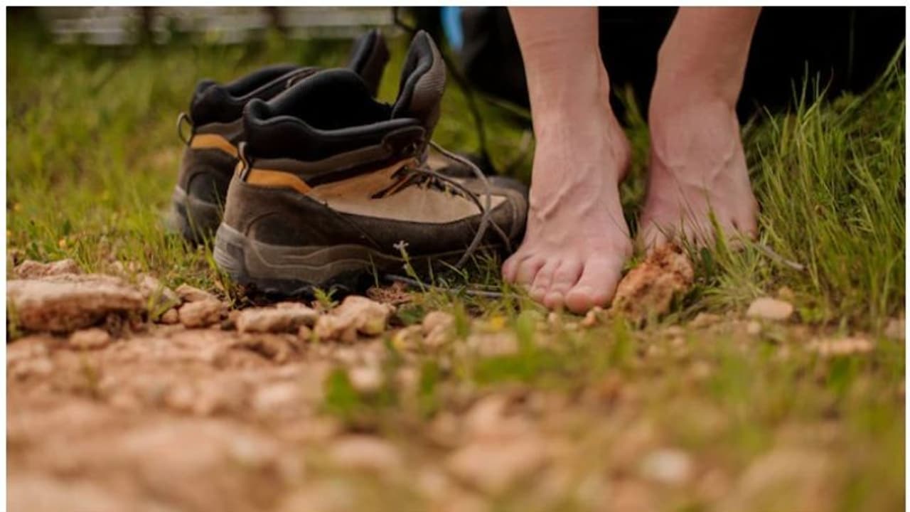 റോബിൻഹുഡ് വിലസിയ കാട്ടിൽ ഇന്ന് നഗ്നസഞ്ചാരികളുടെ ശല്യമെന്ന് പരാതി റോബിൻഹുഡ് വിലസിയ കാട്ടിൽ ഇന്ന് നഗ്നസഞ്ചാരികളുടെ ശല്യമെന്ന് പരാതി