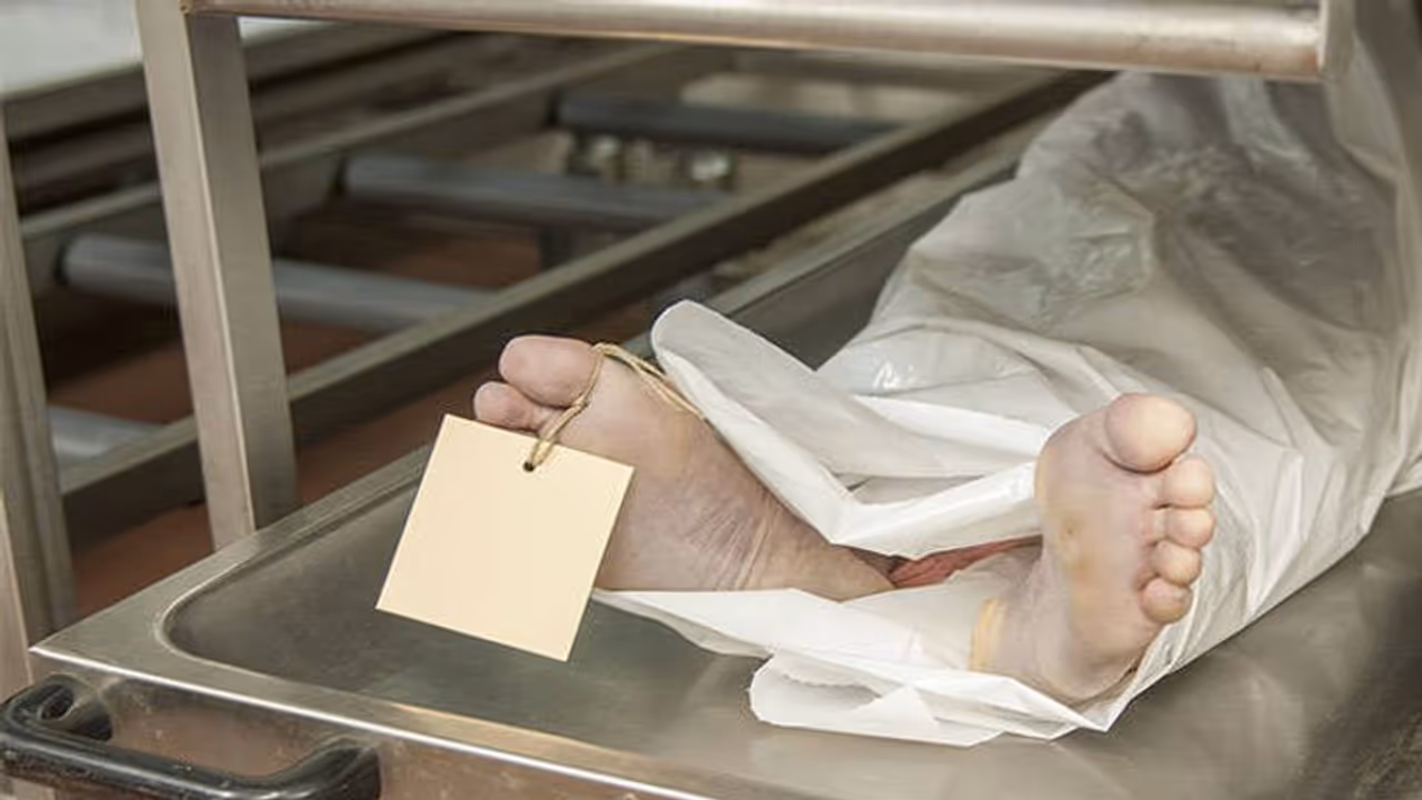 11 साल के बच्चे की मौत देखकर PETA ने क्यों कहा, शाकाहारी खाने को पूरी तरह से अपनाया जाना चाहिए 11 साल के बच्चे की मौत देखकर PETA ने क्यों कहा, शाकाहारी खाने को पूरी तरह से अपनाया जाना चाहिए