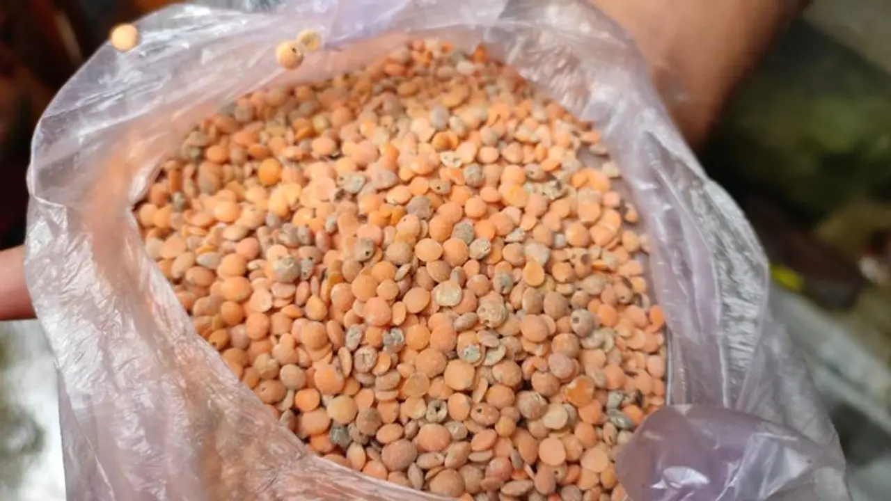 পড়ুয়াদের 'পুষ্টি'র জন্য অঙ্গনওয়াড়ি থেকে দেওয়া হল পোকা ধরা ডাল, বিক্ষোভ পড়ুয়াদের 'পুষ্টি'র জন্য অঙ্গনওয়াড়ি থেকে দেওয়া হল পোকা ধরা ডাল, বিক্ষোভ