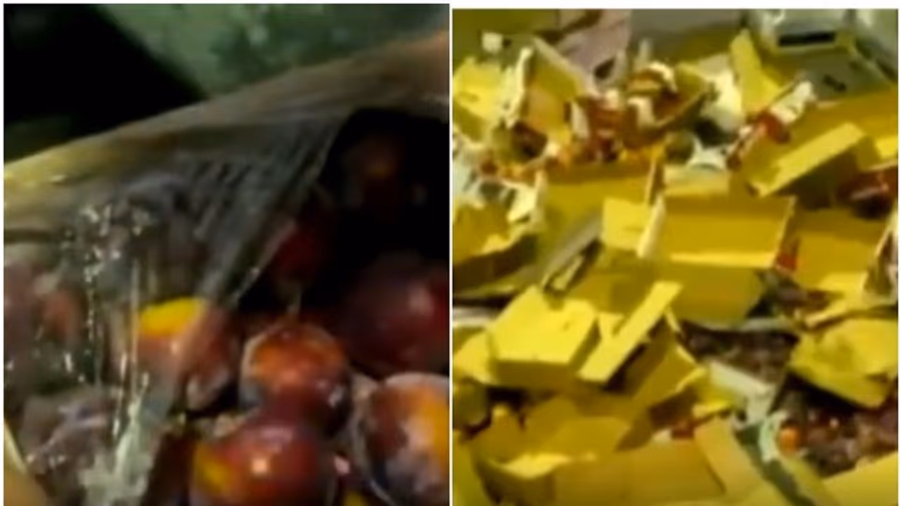 പഴങ്ങള്ക്കിടയില് ഒളിപ്പിച്ച് കുവൈത്തിലേക്ക് കടത്താന് ശ്രമിച്ച ലഹരിമരുന്ന് പിടിച്ചെടുത്തു പഴങ്ങള്ക്കിടയില് ഒളിപ്പിച്ച് കുവൈത്തിലേക്ക് കടത്താന് ശ്രമിച്ച ലഹരിമരുന്ന് പിടിച്ചെടുത്തു