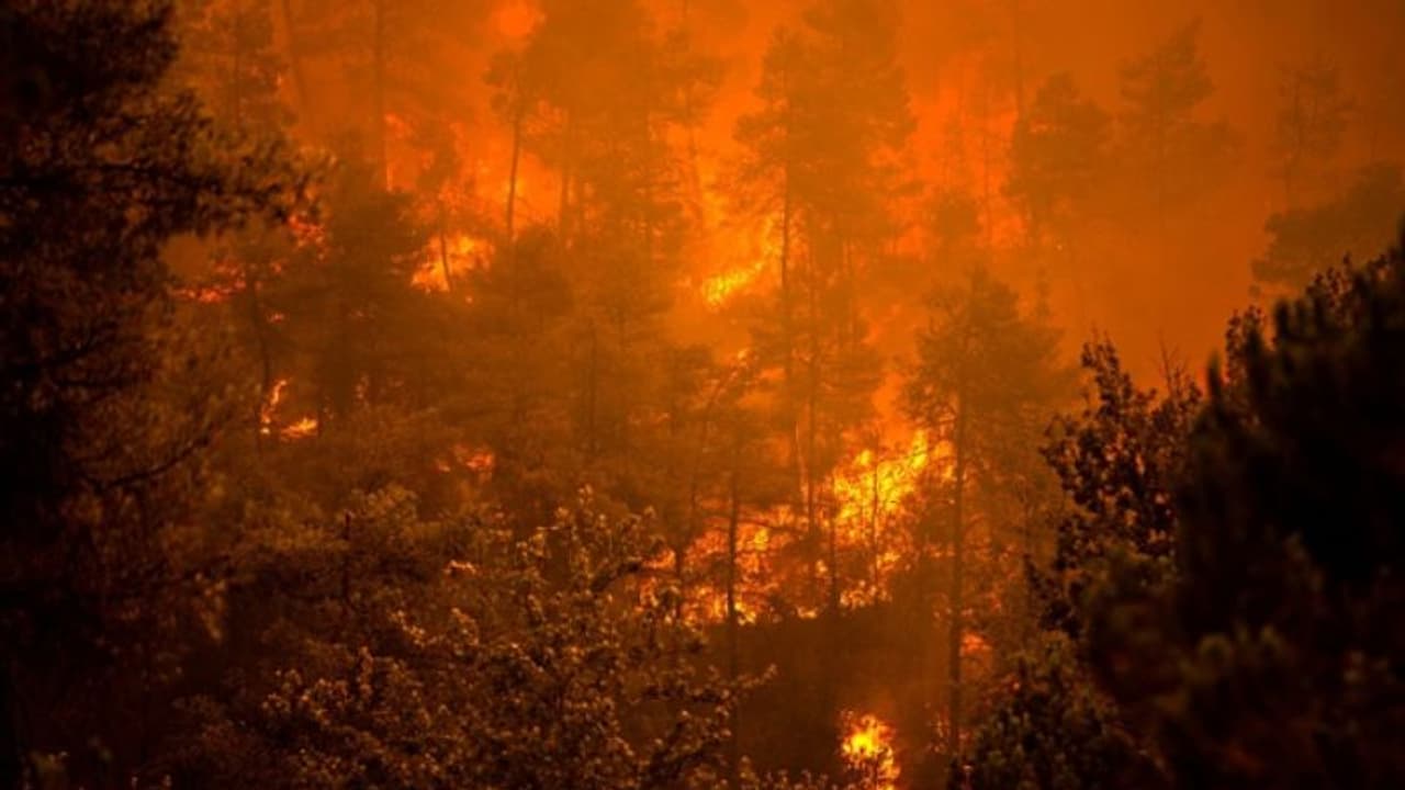 ഗ്രീസിന് ഭീഷണിയായി കാട്ടുതീ: താപനില 45 ഡിഗ്രീ വരെ ഉയർന്നു, അന്താരാഷ്ട്രസഹായം തേടി ഗ്രീക്ക് പ്രധാനമന്ത്രി ഗ്രീസിന് ഭീഷണിയായി കാട്ടുതീ: താപനില 45 ഡിഗ്രീ വരെ ഉയർന്നു, അന്താരാഷ്ട്രസഹായം തേടി ഗ്രീക്ക് പ്രധാനമന്ത്രി