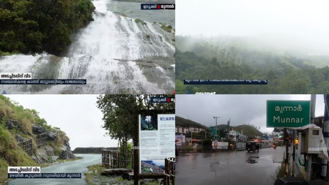 അടച്ചു പൂട്ടലിൽ കൂടുതൽ സുന്ദരിയായി മൂന്നാർ, സഞ്ചാരികൾക്കായി വീണ്ടും തുറന്നു അടച്ചു പൂട്ടലിൽ കൂടുതൽ സുന്ദരിയായി മൂന്നാർ, സഞ്ചാരികൾക്കായി വീണ്ടും തുറന്നു