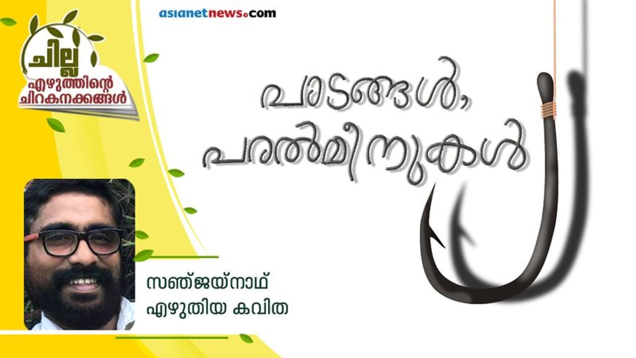 പാടങ്ങള്, പരല്മീനുകള് പാടങ്ങള്, പരല്മീനുകള്