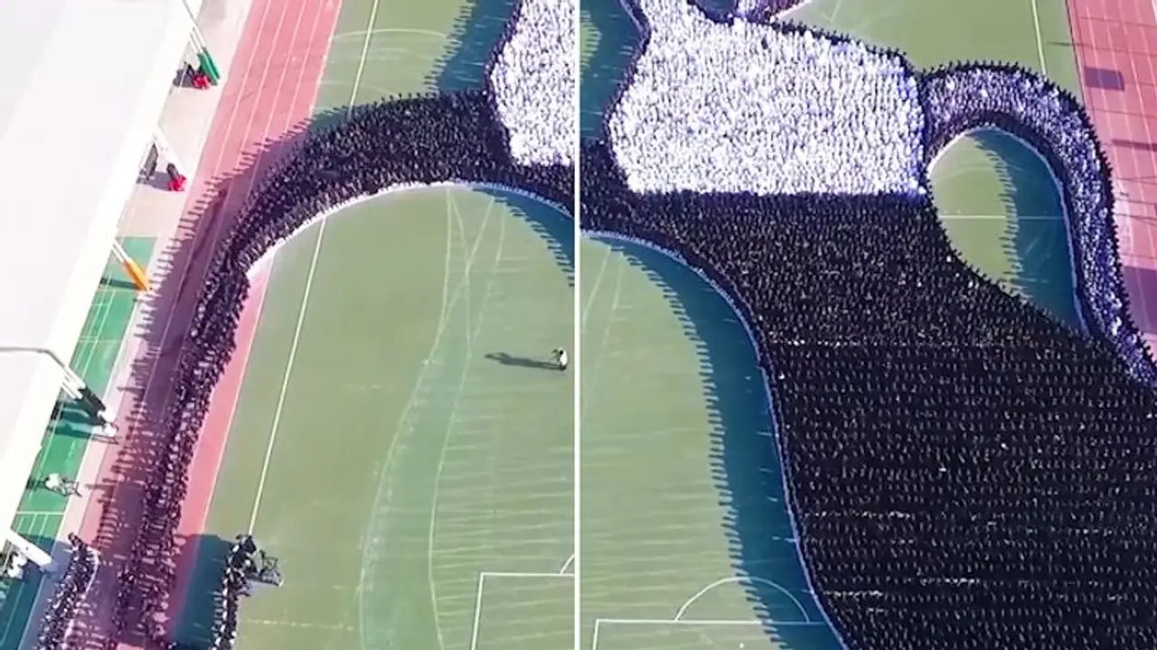 Video of largest transforming human image goes viral; Watch here