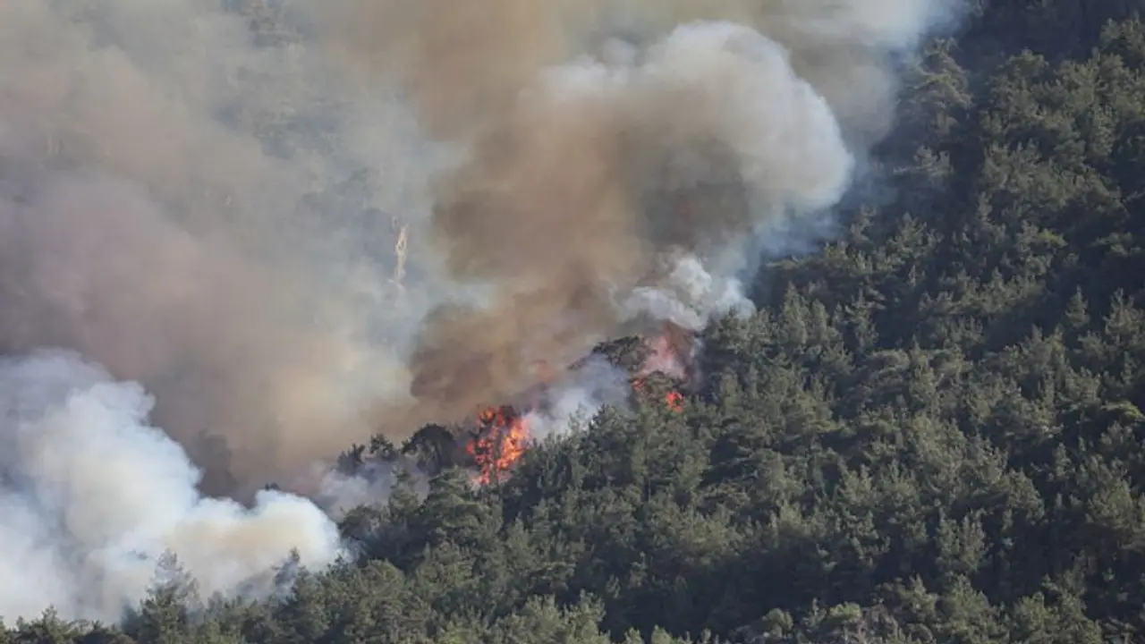 കൂട്ടുകാരുടെ മുന്നില് ആളാവാന് പടക്കം കൊണ്ട് ടെക്നിക്, കത്തിനശിച്ചത് 28 ഏക്കര്, 16കാരന് പിടിയിൽ കൂട്ടുകാരുടെ മുന്നില് ആളാവാന് പടക്കം കൊണ്ട് ടെക്നിക്, കത്തിനശിച്ചത് 28 ഏക്കര്, 16കാരന് പിടിയിൽ