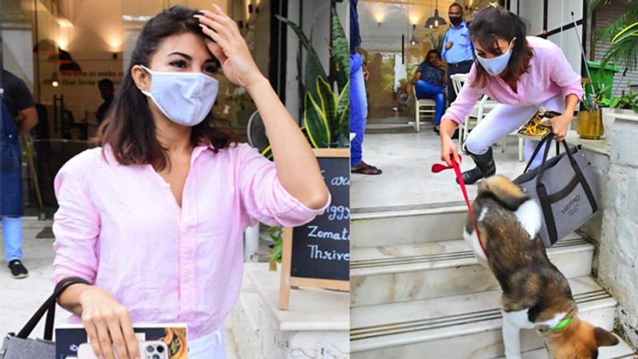 कभी बैग सूंघा कभी रस्सी छुड़ाकर भागा..प्यारी तस्वीर में कैसे अपने पेट डॉग से परेशान हुईं Jacqueline Fernandez कभी बैग सूंघा कभी रस्सी छुड़ाकर भागा..प्यारी तस्वीर में कैसे अपने पेट डॉग से परेशान हुईं Jacqueline Fernandez