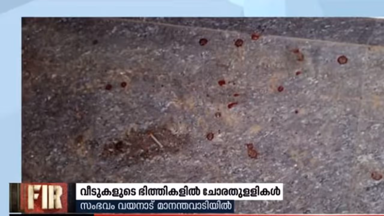 വീടുകളുടെ ഭിത്തികളിൽ ചോരതുള്ളികൾ കണ്ടെത്തിയതിൽ ദുരൂഹത വീടുകളുടെ ഭിത്തികളിൽ ചോരതുള്ളികൾ കണ്ടെത്തിയതിൽ ദുരൂഹത