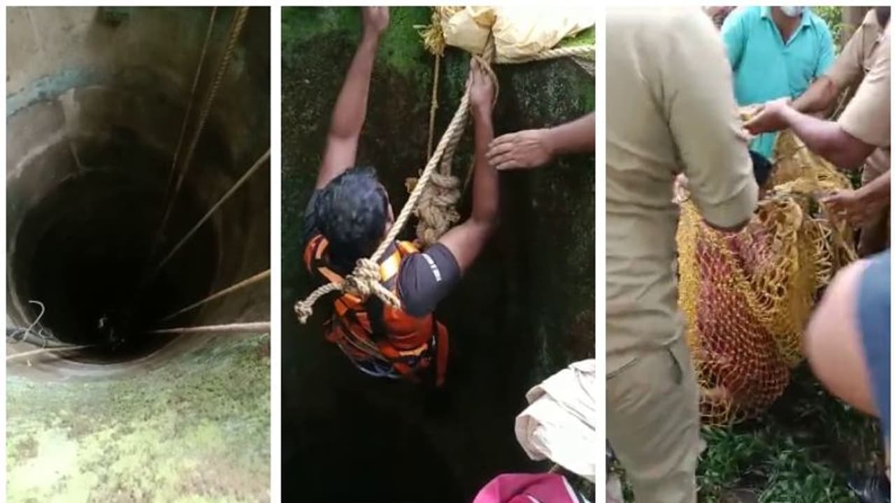 അമ്പതടി താഴ്ചയുള്ള കിണറ്റില് വീണ സ്ത്രീയെ സഹസികമായി രക്ഷപ്പെടുത്തി അഗ്നിരക്ഷാസേന അമ്പതടി താഴ്ചയുള്ള കിണറ്റില് വീണ സ്ത്രീയെ സഹസികമായി രക്ഷപ്പെടുത്തി അഗ്നിരക്ഷാസേന
