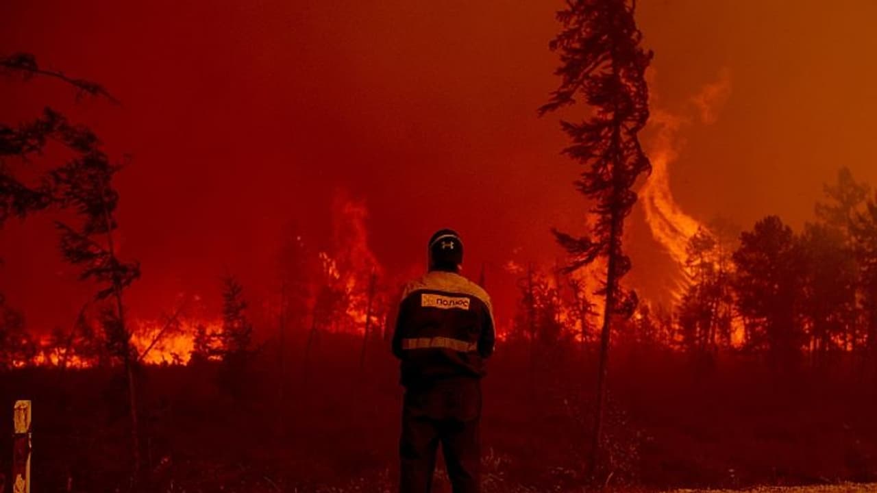 Siberia forest fire Siberia forest fire