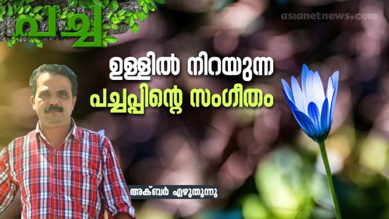 മഴയും വെയിലുമില്ലാത്ത ഒരിടം മഴയും വെയിലുമില്ലാത്ത ഒരിടം