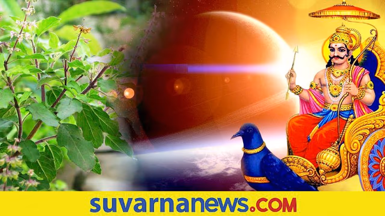 ಶನಿ ದೋಷದಿಂದ ಮುಕ್ತಿ ಪಡೆಯೋಕೆ ಇಲ್ಲಿದೆ ವಾಸ್ತು ಟಿಪ್ಸ್...!