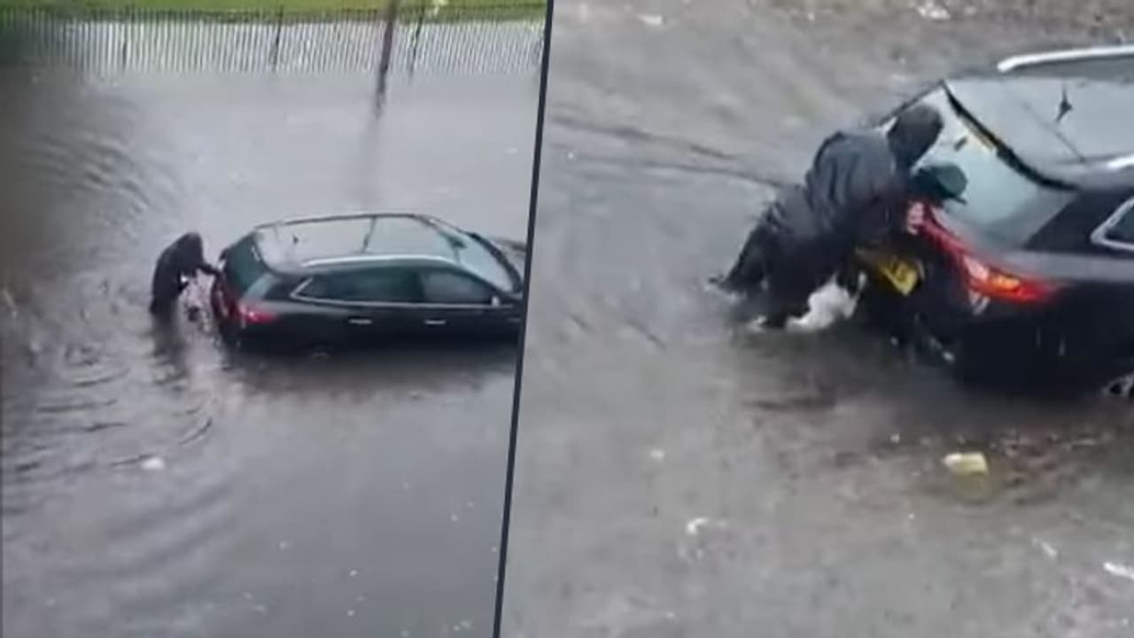 Watch how dog helps woman to start her car stuck in flooded road Watch how dog helps woman to start her car stuck in flooded road